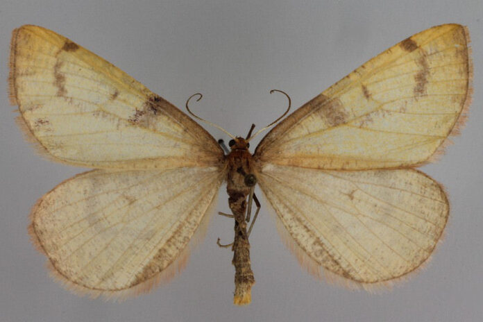 Sursă foto: Facebook/Radio Eco Natura