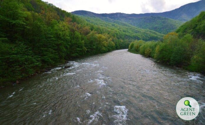 Sursă foto: Facebook/Agent Green