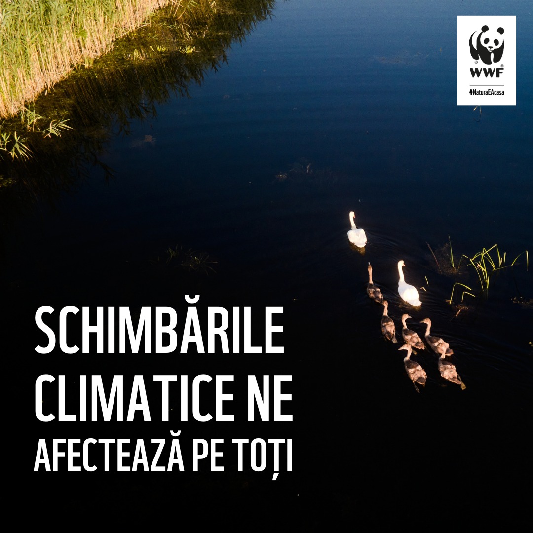 Foto: Facebook/WWF România