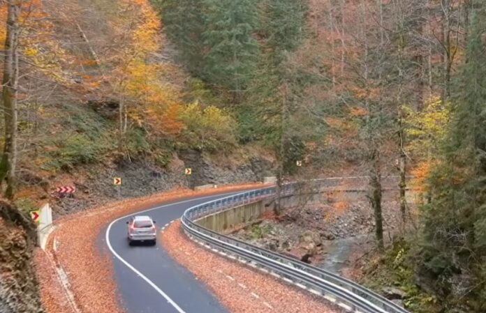 Captură video/Facebook: Mircea Mălan