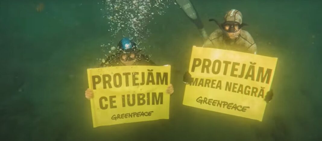 Captură video: Greenpeace România
