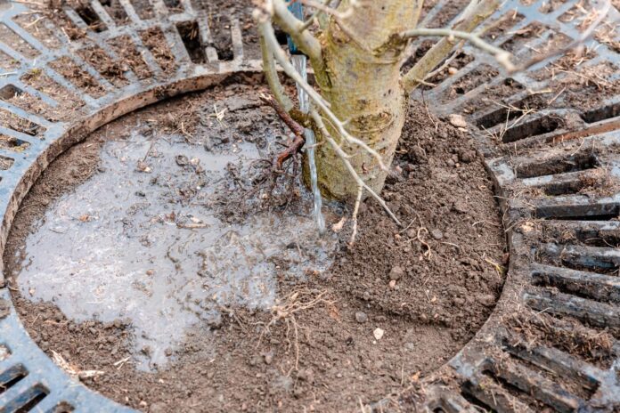 Sursă foto: Facebook/Nicușor Dan