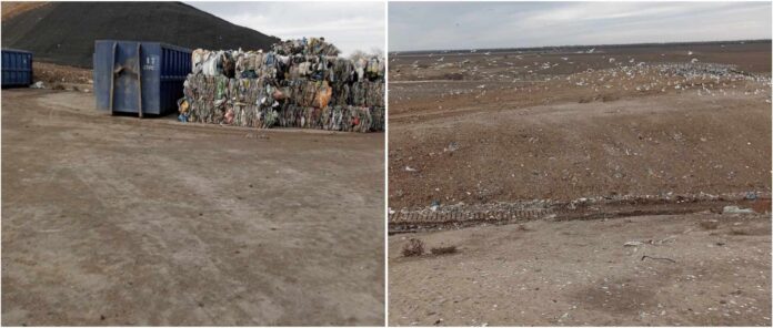 Foto: Facebook/Garda de Mediu Constanța