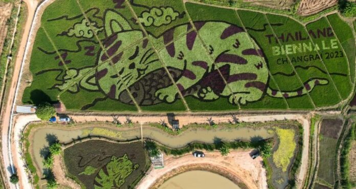 Sursă foto: BBC/Instagram