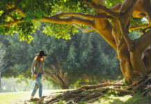 Tranziția verde fără control asupra resurselor: un risc sistemic pe care Europa îl subestimează