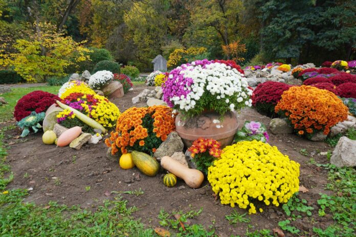 Sursă foto: Facebook/Grădina Botanică "Alexandru Borza" Cluj-Napoca Universitatea Babeș-Bolyai