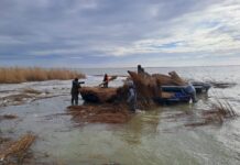Nivel scăzut pe Dunăre: fluviul care arată cât de repede devine apa problemă economică Sursă foto: Facebook/Administraţia Rezervaţiei Biosferei Delta Dunării (ARBDD)