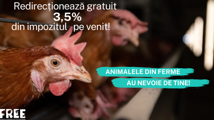 Foto: Free - Freedom and Respect for Every Earthling