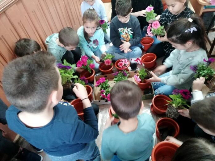 Foto: Facebook/Școala Gimnazială nr. 6 ”Grigore Antipa“