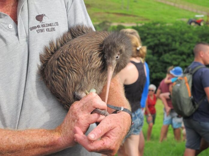 Sursa foto: Facebook/Kiwi Coast