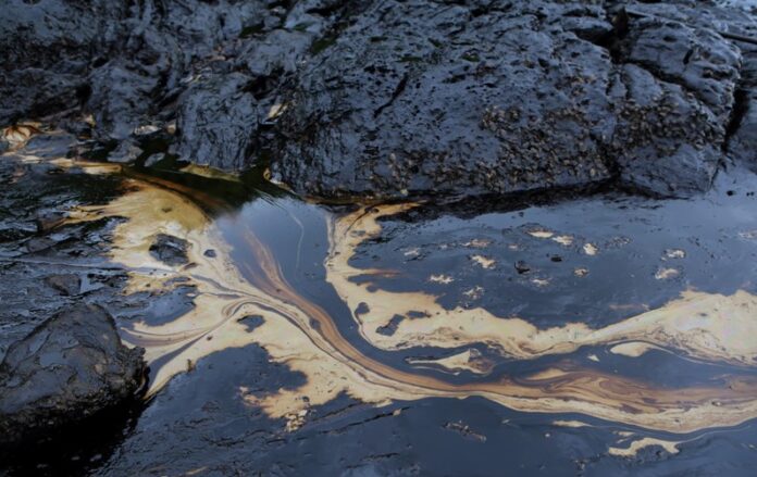 Foto: Ministerul Mediului