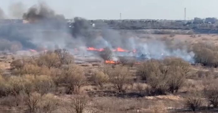 Captură video/Radio Eco Natura