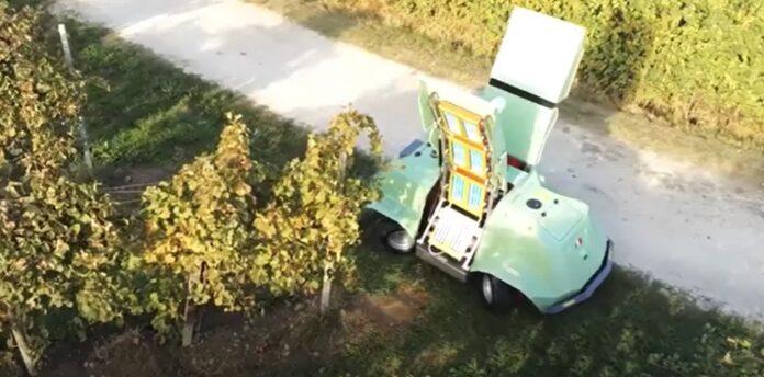 Foto: Captură video Youtube/Free Green Nature