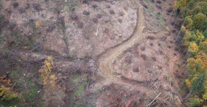 Captură video: Facebook/Agent Green