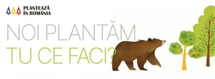 Foto: Plantează în România
