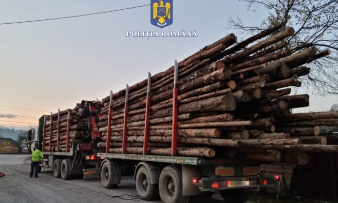 Foto: Facebook/Poliția Română