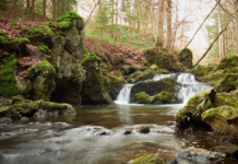 Apele Europei nu ating obiectivele UE: avertismentul Agenției Europene de Mediu