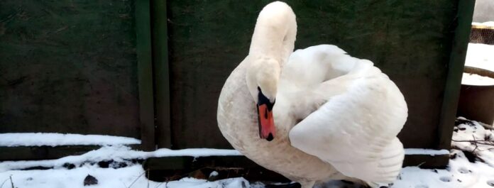 Sursă foto: Facebook