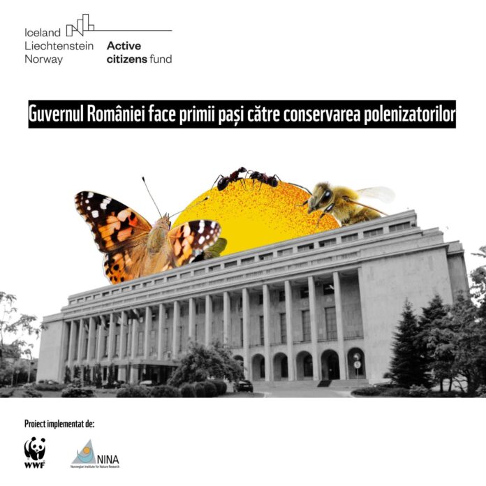 Sursă foto: WWF România