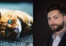 Deputatul Daniel-Liviu Toda (REPER) vrea eutanasierea pisicilor fără stăpân. În urma presiunii publice, proiectul de lege a fost retras