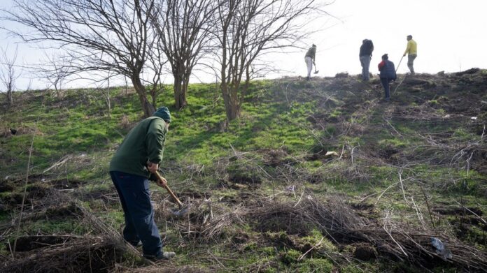 Sursă foto: Mai Mult Verde