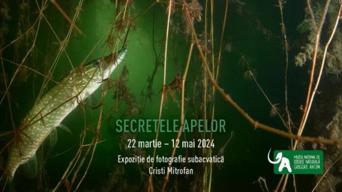 Sursa foto: Facebook