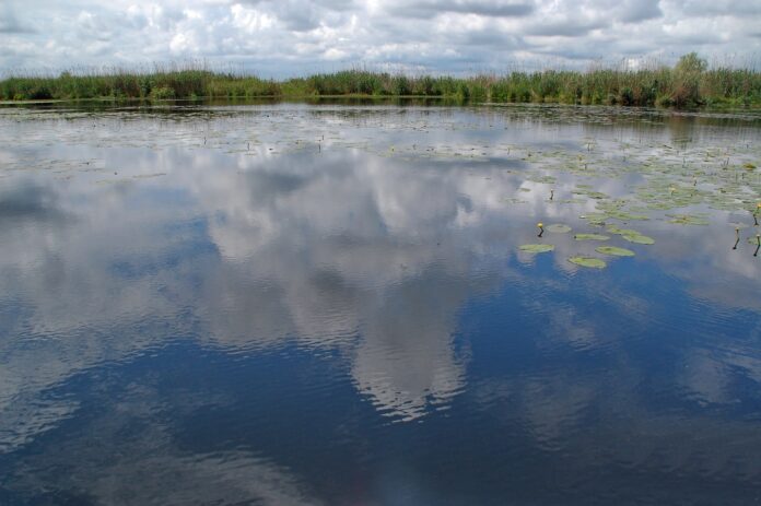 Foto: Facebook/ARBDD – Administrația Rezervației Biosferei Delta Dunării