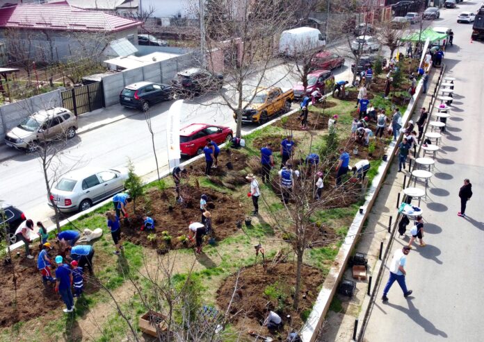 Foto: Facebook/Mai Mult Verde