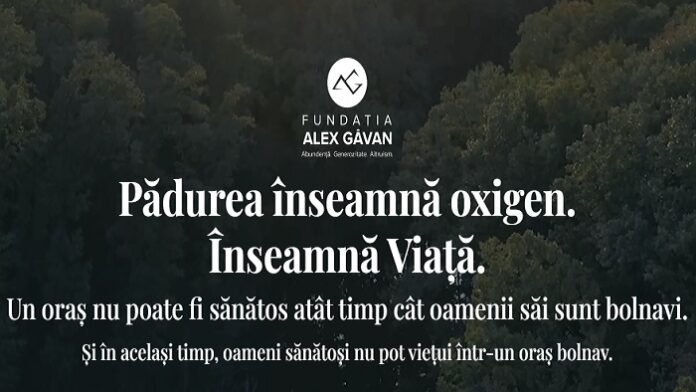 Sursă foto: Fundația Alex Găvan