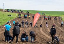 Știai că o pădure poate arăta verde și sănătoasă, dar să fie deja, în interior, o capcană ecologică? Foto: Facebook/Pădurea Copiilor