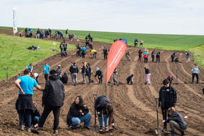 Foto: Facebook/Pădurea Copiilor