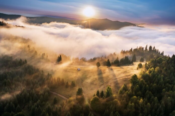 Foto: Facebook/WWF România