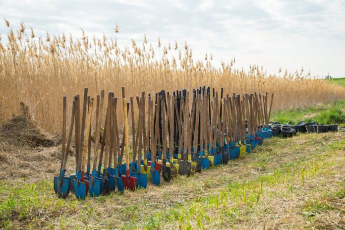 Sursă foto: Facebook/Mai Mult Verde