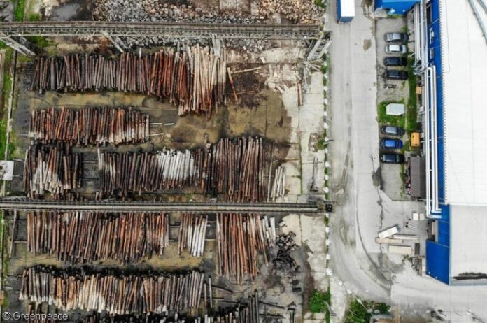 Sursa foto: Greenpeace