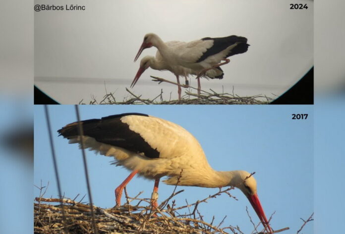 Sursa foto: Facebook - Milvus Group