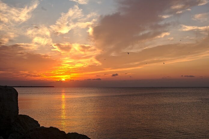 Sursă foto: Pixabay