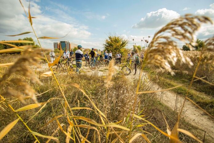 Foto: Facebook/Mai Mult Verde