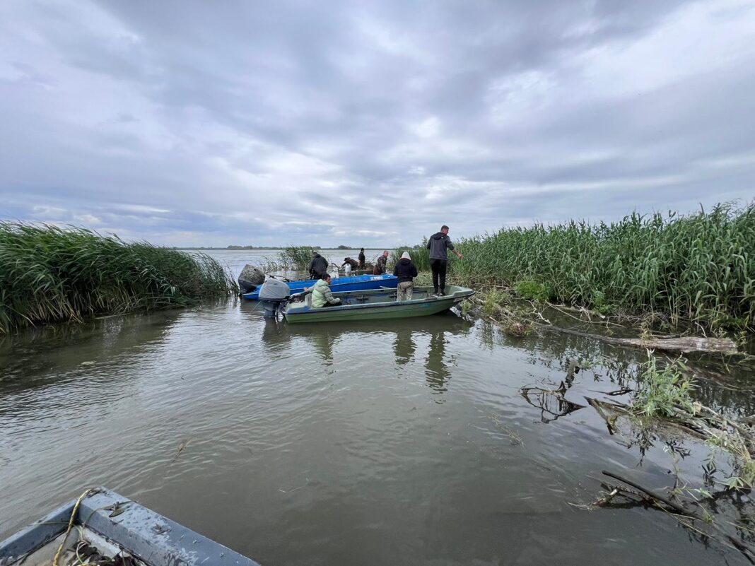 Foto: Facebook/Administrația Rezervației Biosferei Delta Dunării (ARBDD)