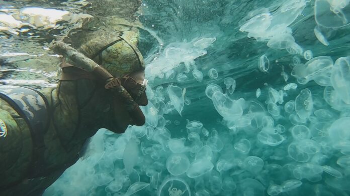 Foto: Facebook/Greenpeace România