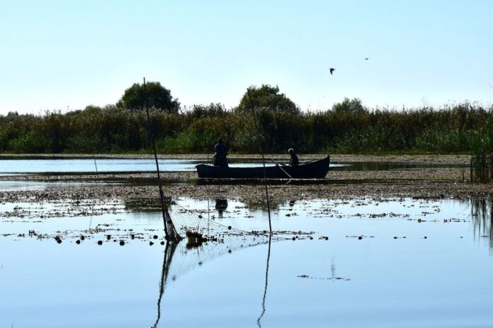 Foto: Facebook/Administrația Rezervației Biosferei ”Delta Dunării” (A.R.B.D.D.)