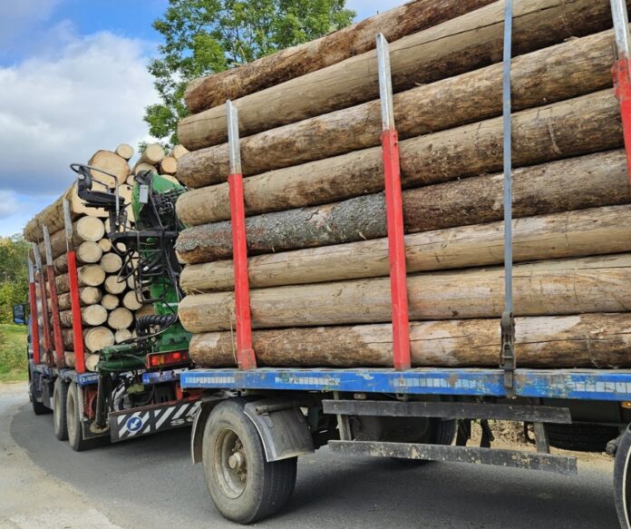 Foto: Facebook/WWF România