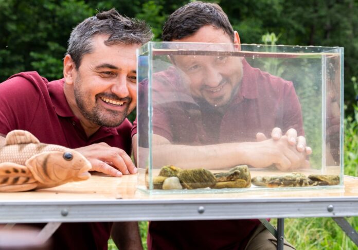 Foto: Ministerul Mediului din România