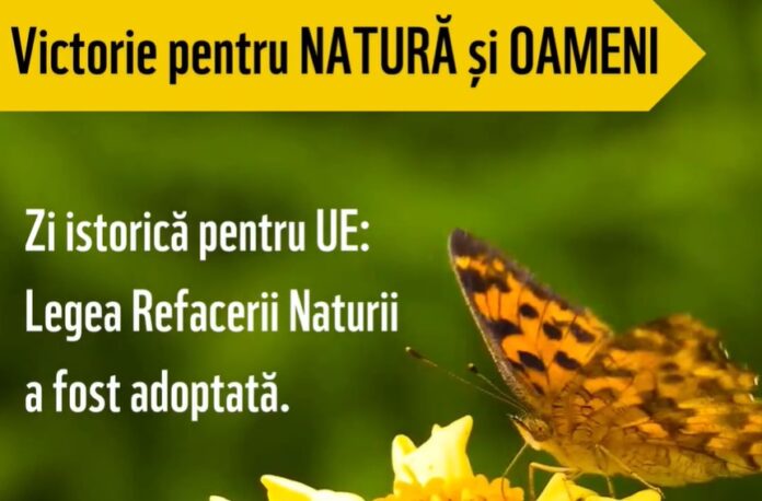 Captură video/WWF România