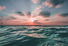 Știai că oceanul are o memorie a emisiilor noastre?