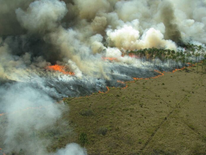 Foto: Facebook/Radio Rco Natura