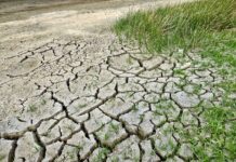 Cum schimbă utilizarea terenurilor clima Europei: studiul care complică tranziția verde Sursă foto: Pixabay