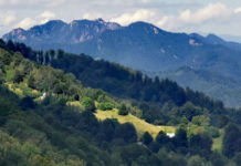 Două sute de arii protejate fără plan de management. Ce înseamnă protecție fără reguli