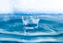 Criza globală a apei: Ziua Mondială a Apei confirmă pierderea unei treimi din zonele umede și colapsul biodiversității