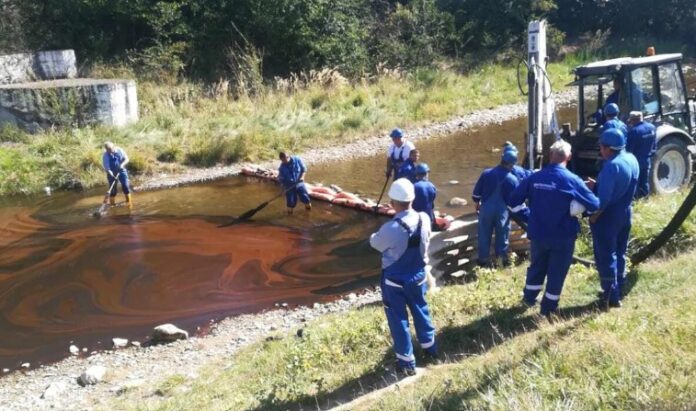 Foto: Greenpeace România