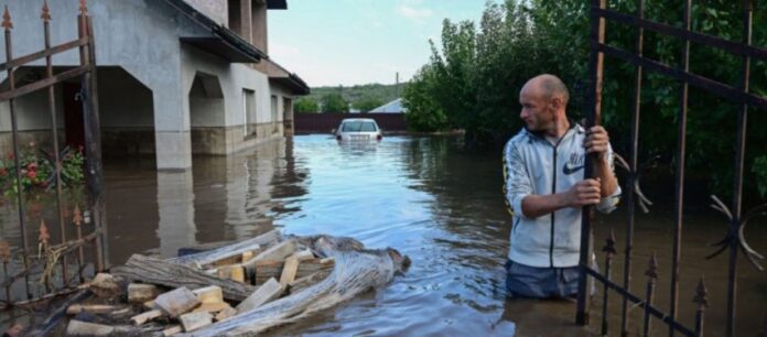 Foto: Facebook/WWF România